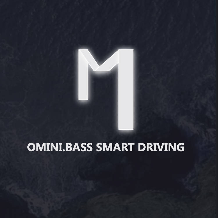 OMINI Smart Driving App